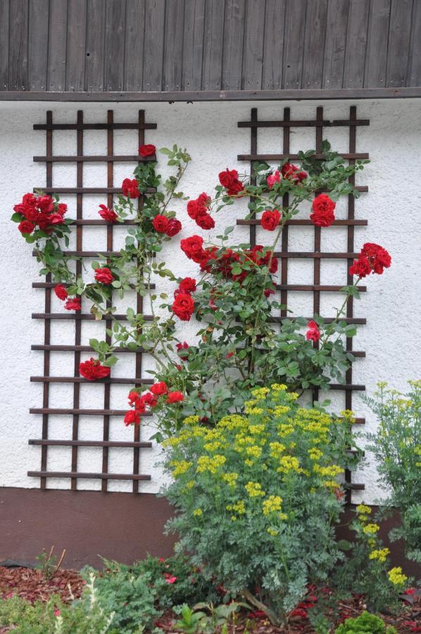 Vrtnarjeva Hisa, The Gardener'S Cottage Radovljica Exterior foto